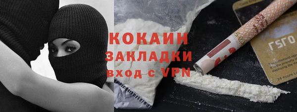 apvp Инсар