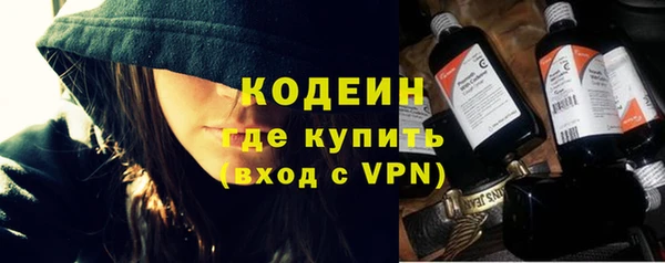 apvp Инсар