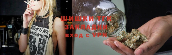 apvp Инсар