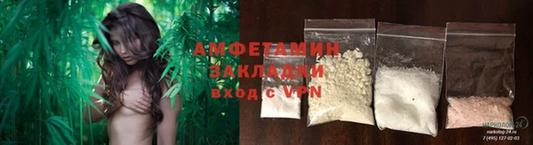 apvp Инсар