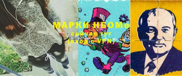 гидропоника Инта