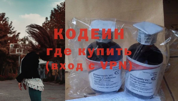 apvp Инсар
